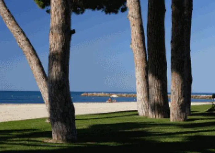 Miguel Cambrils